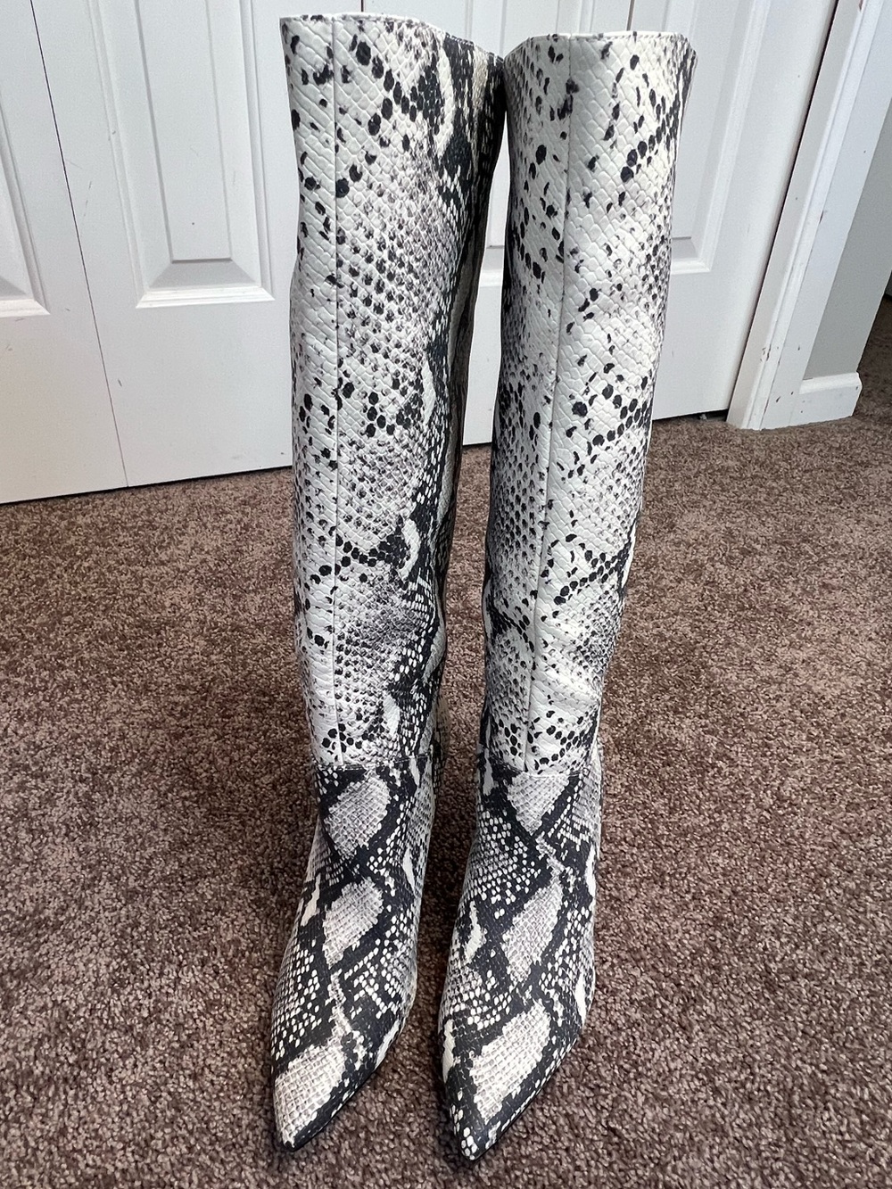 New Steve Madden Kinga Faux Leather Pull On Natural Snake Tall Knee Boot Sz 7.5